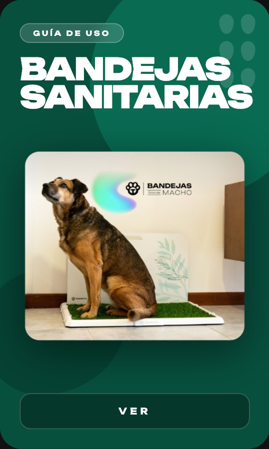 Bandejas Sanitarias Guía